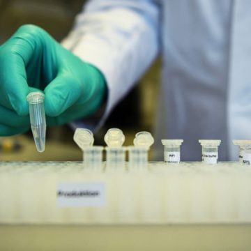Farmacêuticas GSK e CureVac desenvolvem em conjunto nova vacina