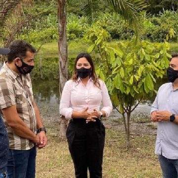 Municípios do Sul e Sudeste recebem visita de Renilce Nicodemos