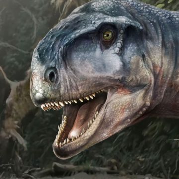 2021-03-31t004716z_76525500_rc20mm9y4yvq_rtrmadp_3_science-dinosaur Nova espécie de dinossauro é descoberta na Argentina
