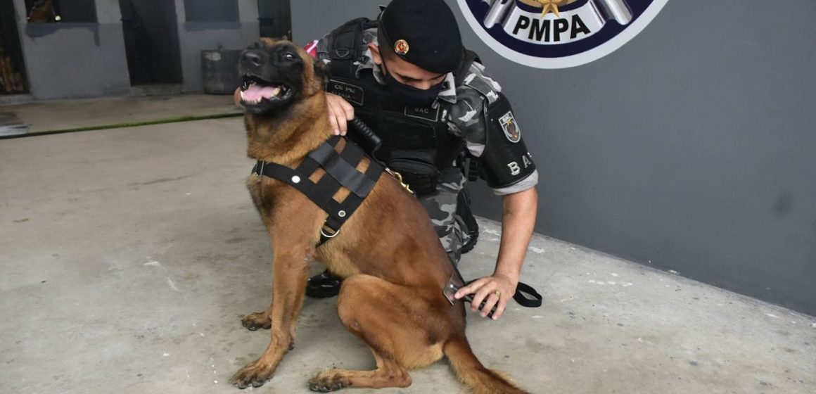 Animais recebem cuidados e auxiliam no combate a criminalidade no Pará
