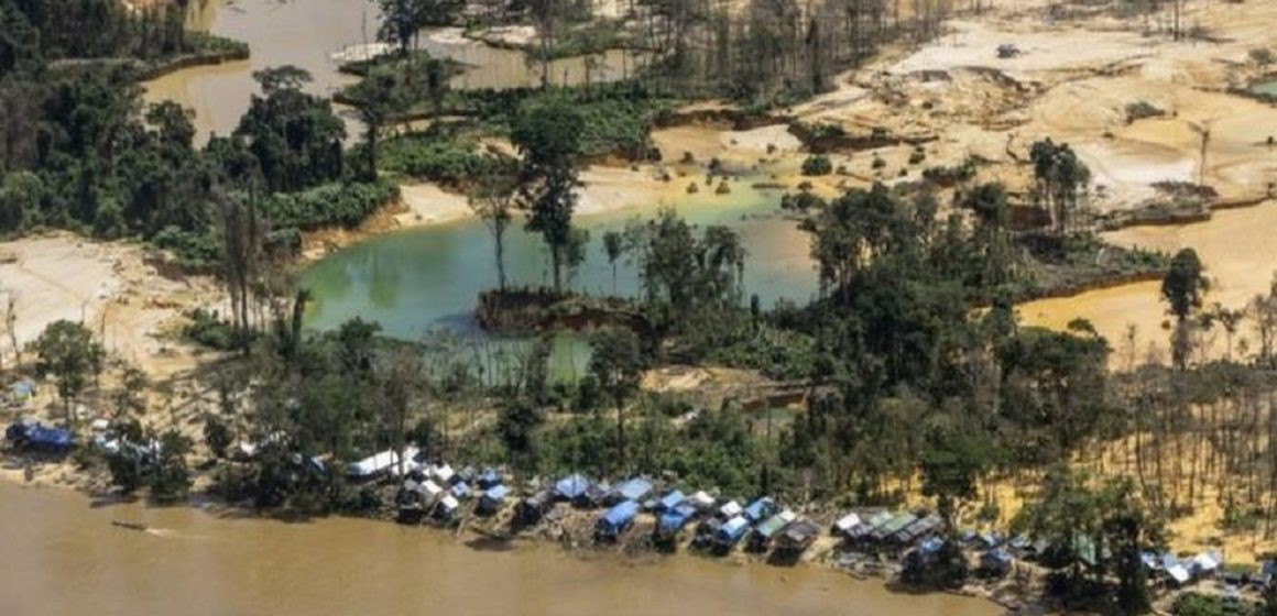 Servidores do Ministério da Saúde vacinam garimpeiros contra Covid em troca de ouro, afirma líder Yanomami