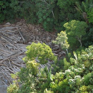 Desmatamento na Amazônia e no Cerrado em março é o maior dos últimos anos