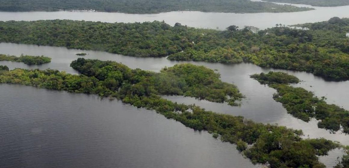 Coluna Visão Econômica #4: Amazônia, ainda a maior oportunidade econômica do planeta