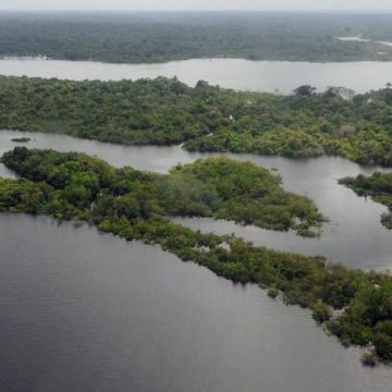 Coluna Visão Econômica #4: Amazônia, ainda a maior oportunidade econômica do planeta