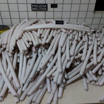 Altamira: PC e Exército detonam cerca de 600 dinamites apreendidas