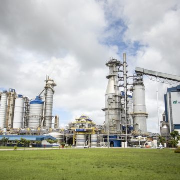 Suzano lança programa de Mudanças Climáticas na Cadeia de Valor