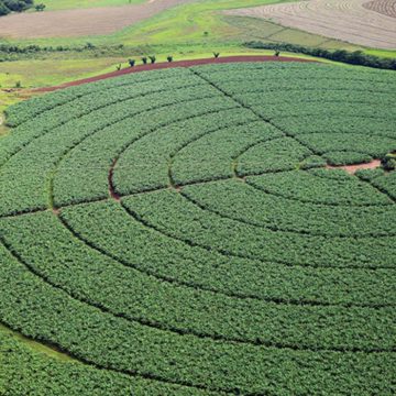Governo fixa ações para avaliar importação de produtos agropecuários