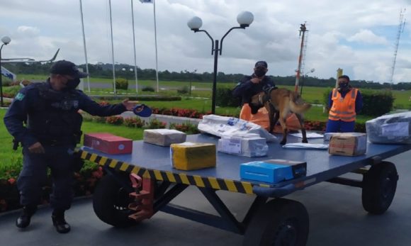 Para combater tráfico de entorpecentes, animais e armas de fogo, PF realiza fiscalização no Aeroporto de Altamira