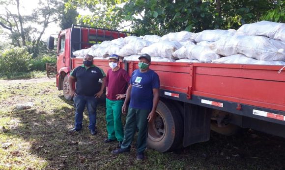 Pará: produtores rurais recebem quase 2 milhões e meio de sementes híbridas de cacau