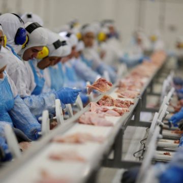 Arábia suspende compra de carne de ave de 11 frigoríficos do Brasil