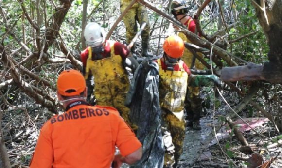 Corpo de piloto de aeronave é encontrado em mangue em Aracaju