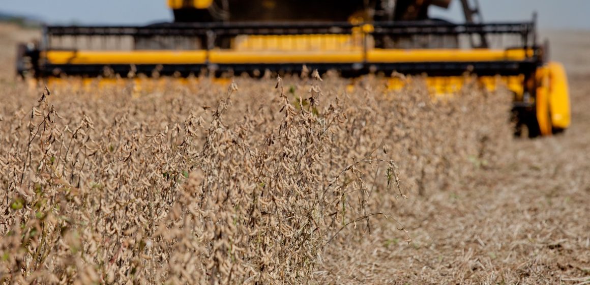 Expectativas positivas são mantidas no Pará sobre produção agrícola de 2021