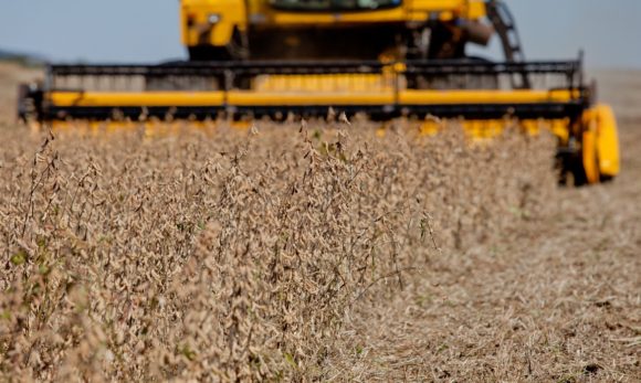Expectativas positivas são mantidas no Pará sobre produção agrícola de 2021