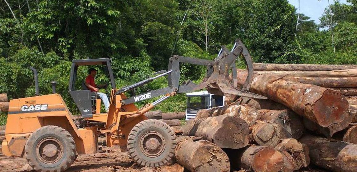 1829wd634 Arrecadação com multas do Ibama no Pará caiu 44% entre 2019 e 2020