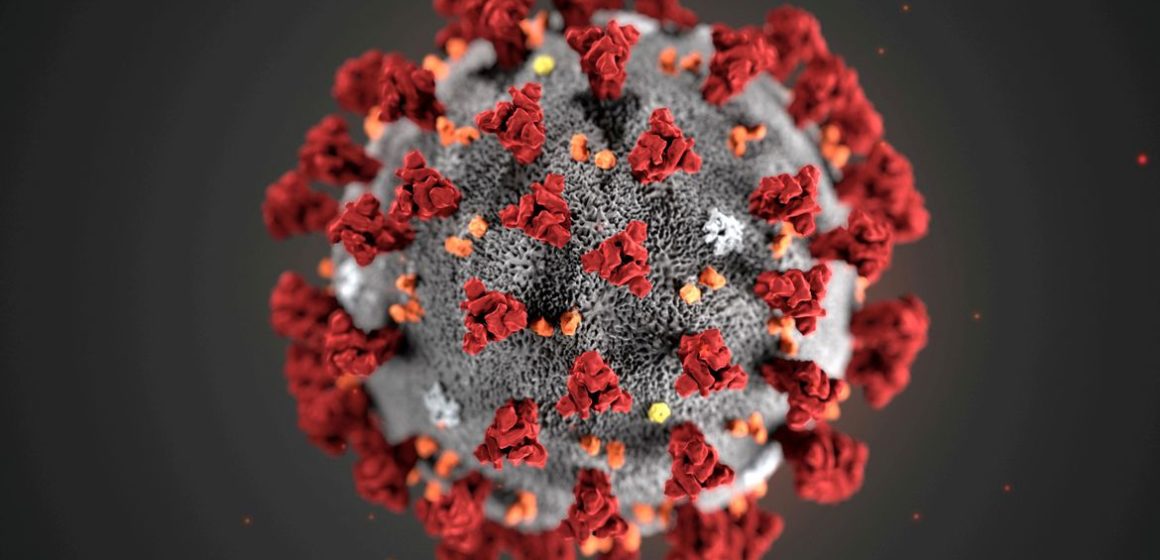 2021-02-19t194154z_1_lynxmpeh1i1cj_rtroptp_4_health-coronavirus-africa-variant Ministério confirma primeira morte da variante delta no Brasil