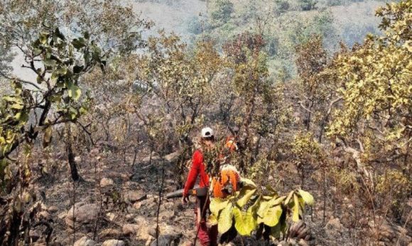 Serra das Andorinhas clama por ajuda em chamas há 3 dias