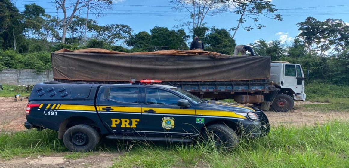 Caminhão adulterado transportando madeira sem licença ambiental é apreendido pela PRF