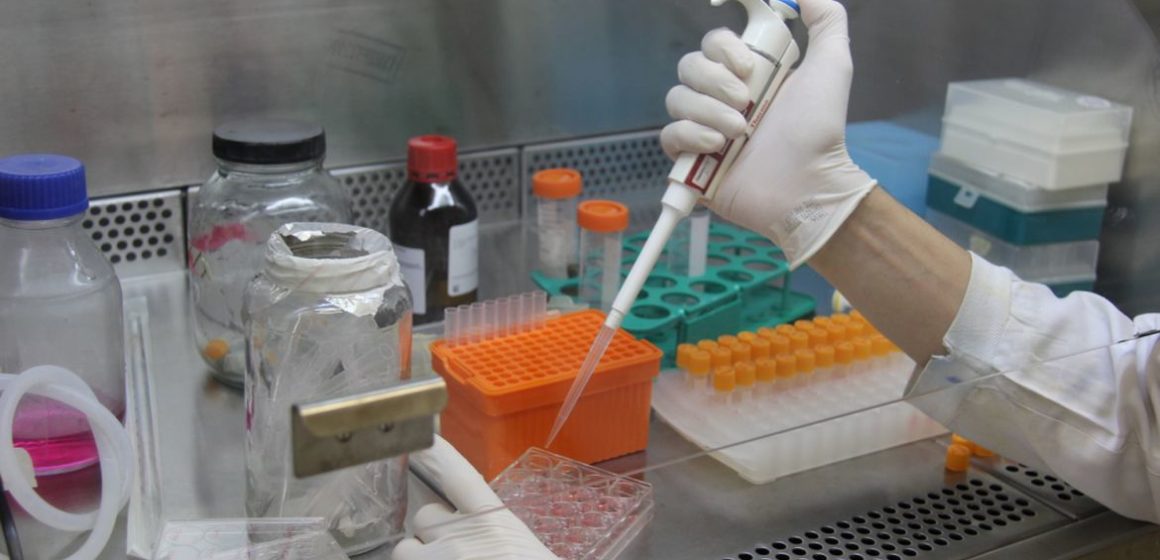 Pesquisadores desenvolvem testes rápidos para diagnóstico de covid-19
