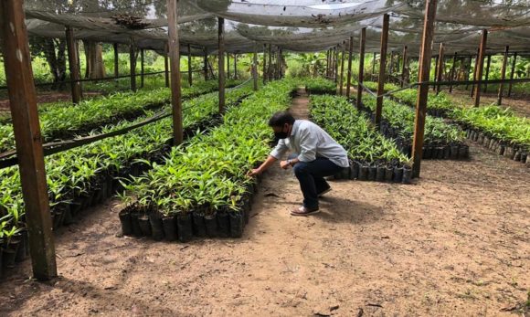 Titular da Sedap visita instalações do órgão no nordeste do Pará e anuncia melhorias