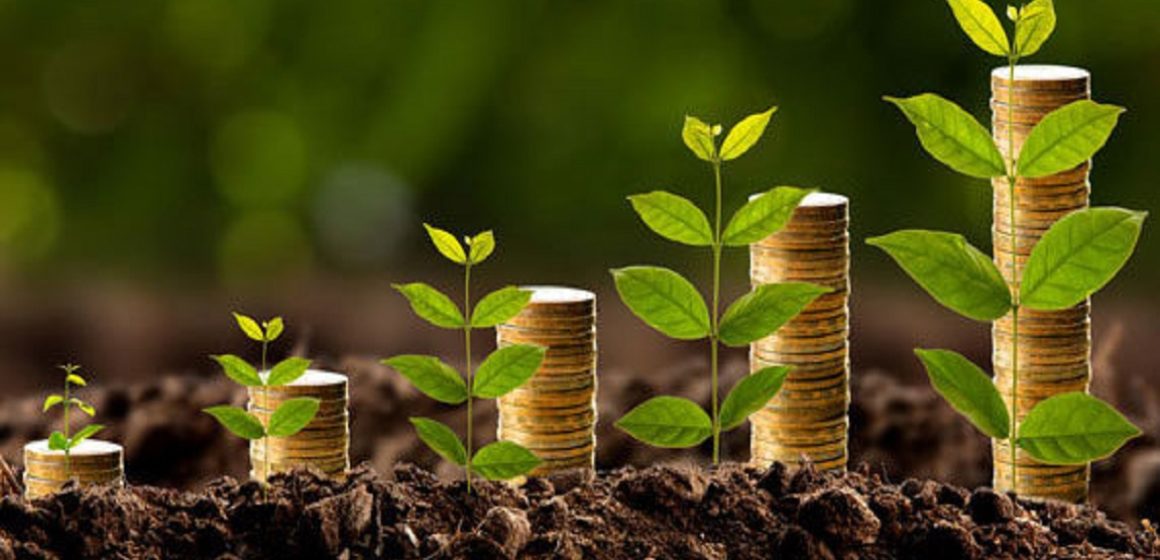 Bioeconomia: Moda ou Mudança? – Por João Arroyo