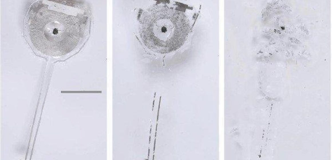 Cientistas desenvolvem marcapasso sem fio que se dissolve no corpo