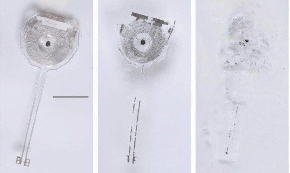 Cientistas desenvolvem marcapasso sem fio que se dissolve no corpo