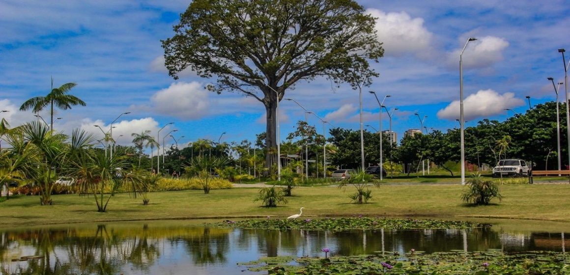 Campanha “Um Dia no Parque” celebra áreas protegidas do Pará