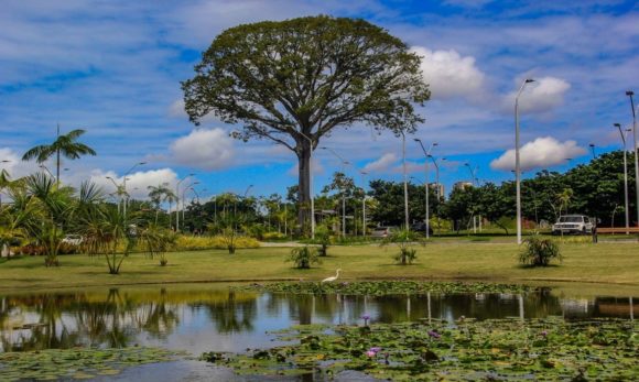 Campanha “Um Dia no Parque” celebra áreas protegidas do Pará