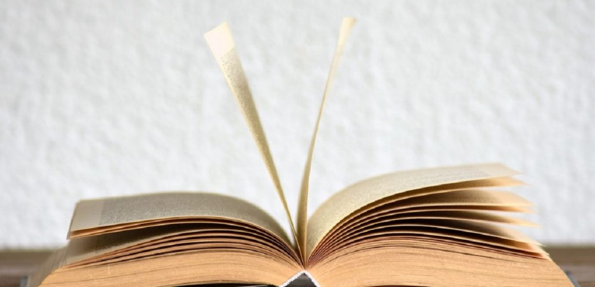 Academia Brasileira de Letras inclui ‘feminicídio’, ‘sororidade’ e ‘home office’ em vocabulário atualizado da língua portuguesa