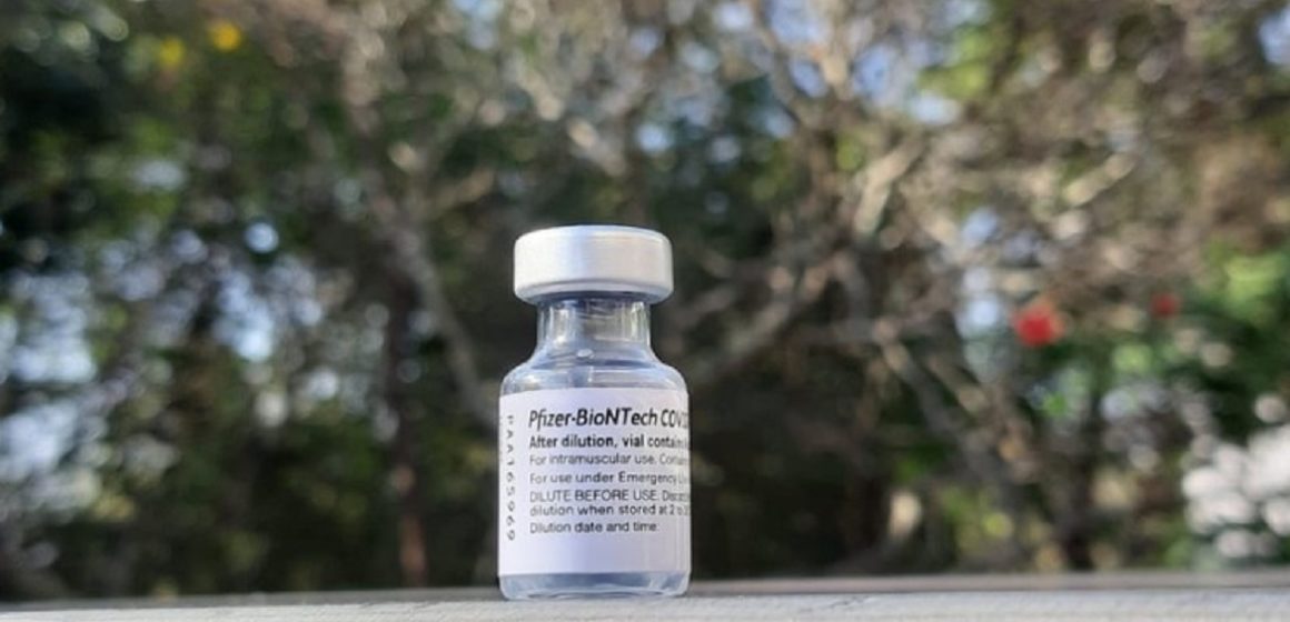 Pfizer anuncia entrega ao Brasil de mais 13 milhões de doses da vacina contra Covid-19 até 1º de agosto