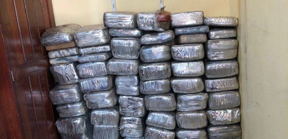 Maior apreensão de drogas dos últimos 10 anos na região de Marabá é feita pela PM