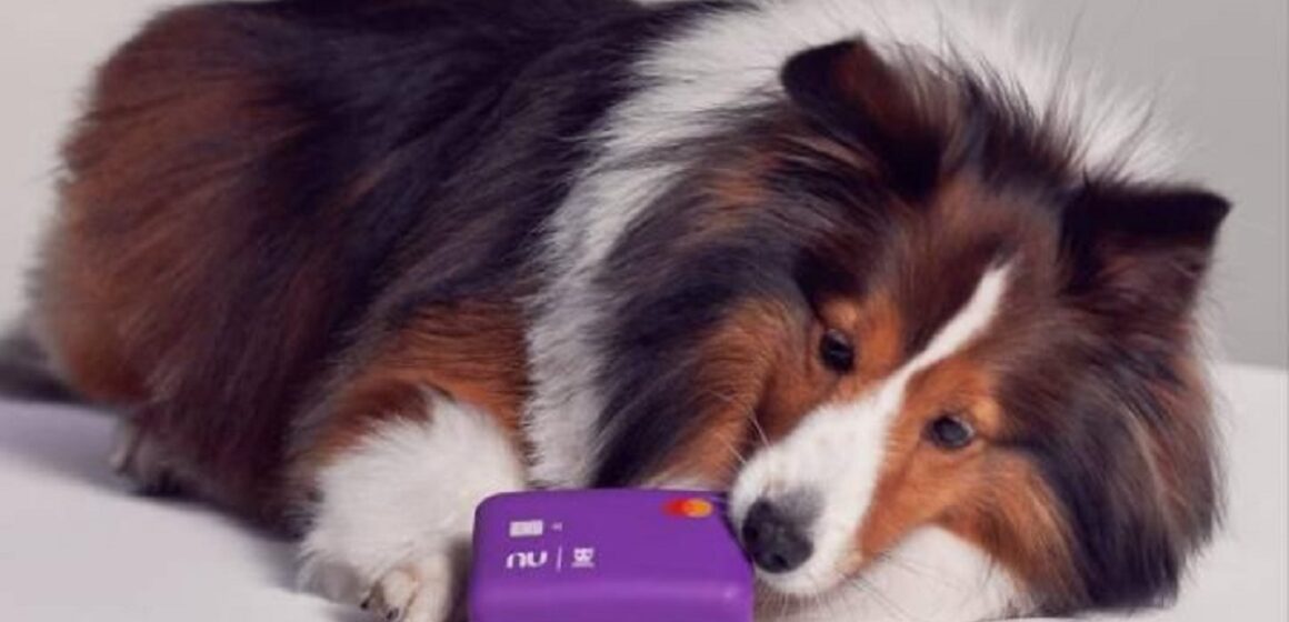Nubank lança “cartão” para cachorros