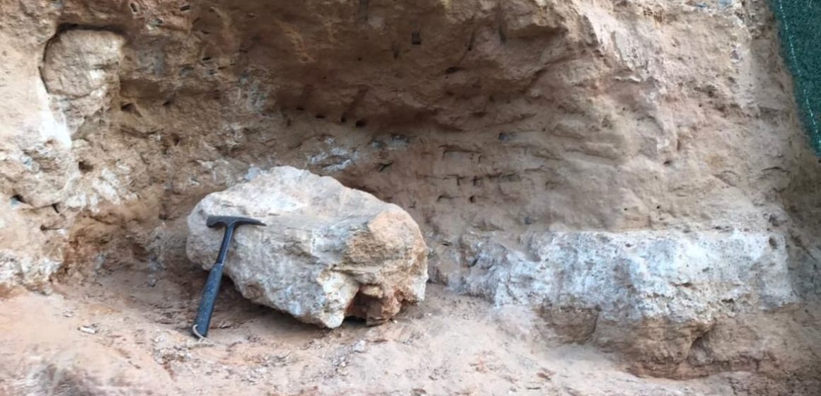 Fóssil de dinossauro é encontrado no interior de SP