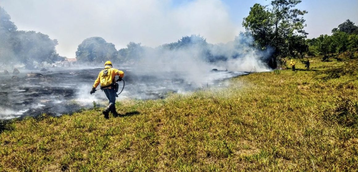 Crise do clima ameaça direitos humanos, diz Anistia Internacional