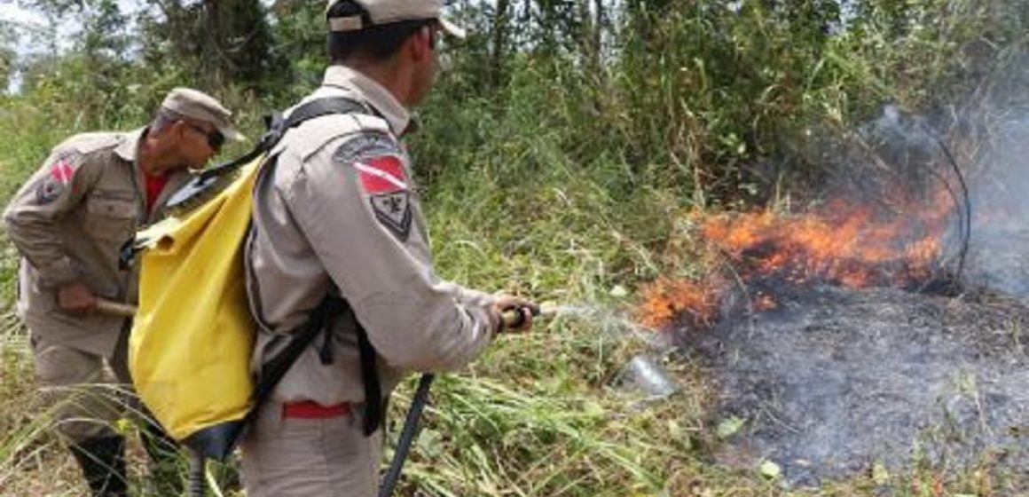 Pará fecha mês de julho com redução de 49% nas ocorrências de focos de calor