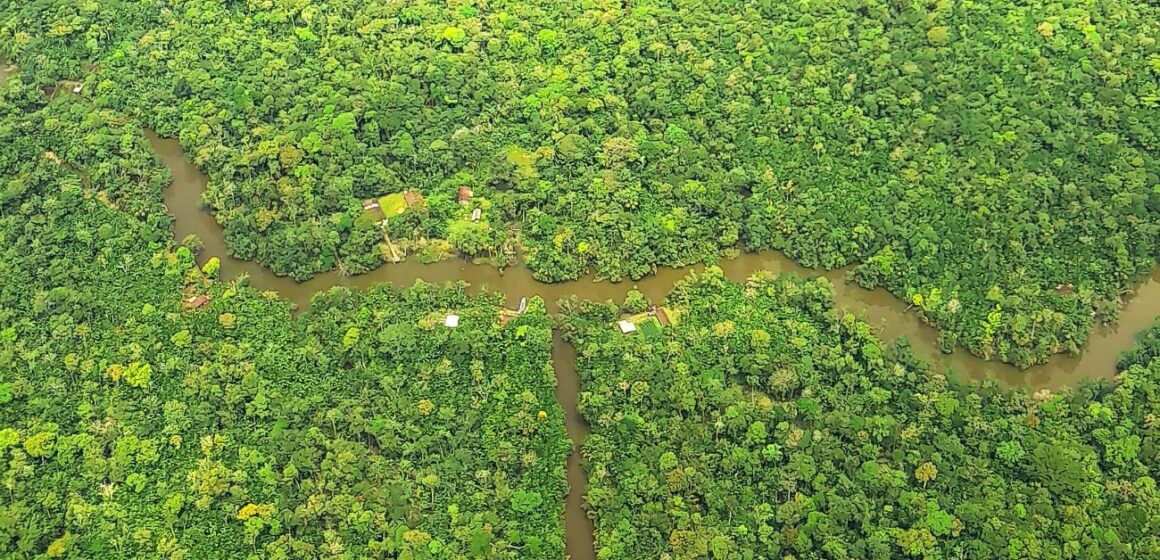 Estado do Pará apresenta redução de 39% de desmatamento em áreas estaduais