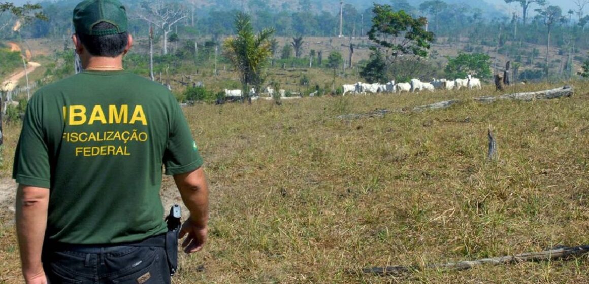 BOA_IBAMA_2 Concurso do Ibama para preencher 568 vagas é autorizado