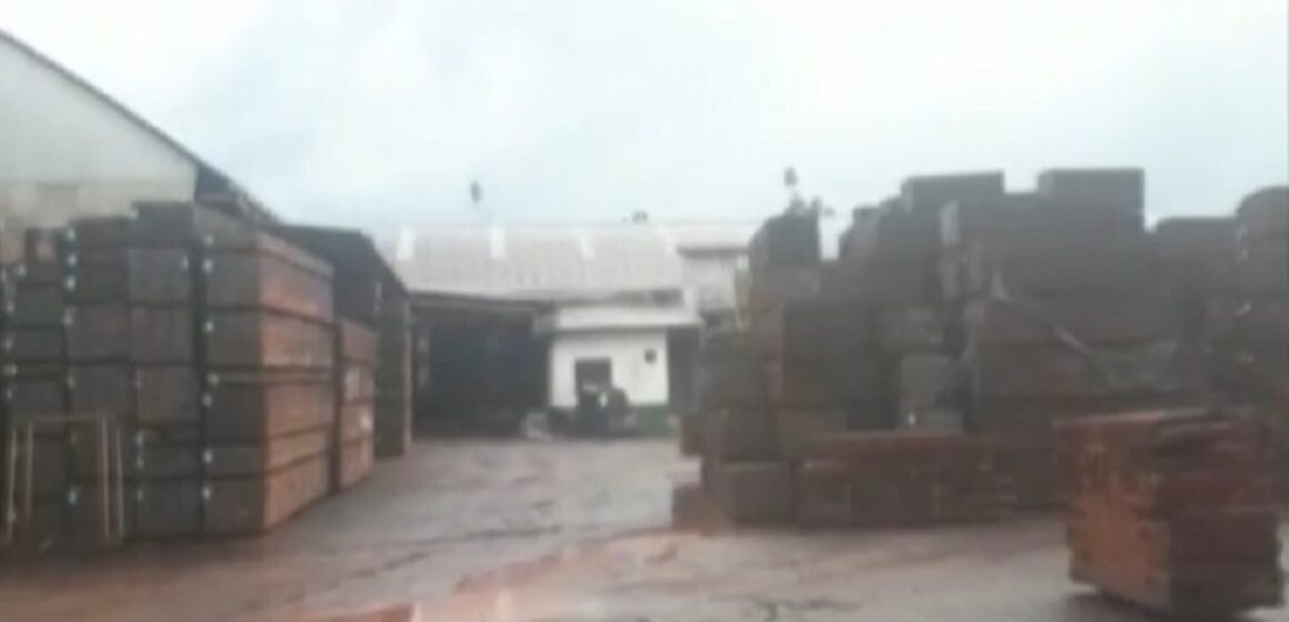 Pará: madeireiros estimam perda bilionária com demora de liberação de documento para exportação pelo Ibama