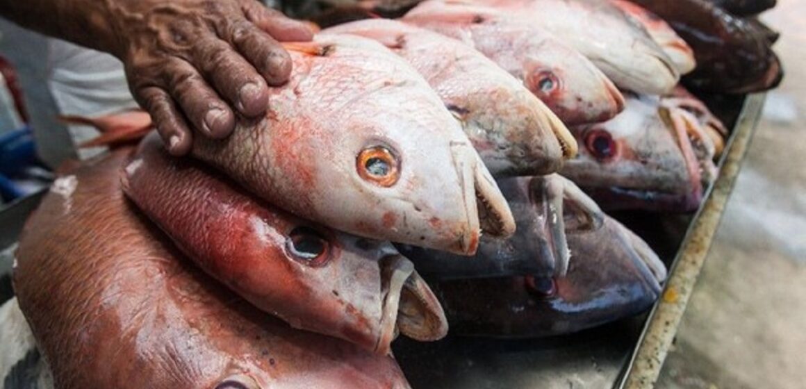 Juruti, no Pará, notifica três casos suspeitos da doença da ‘Urina Preta