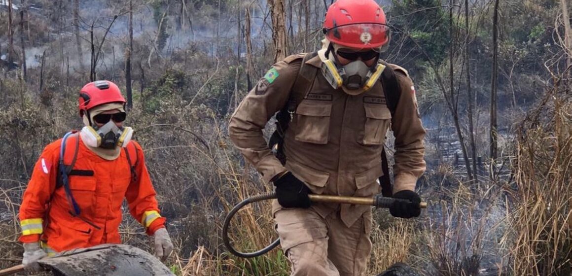 III Edição da Operação Fênix 2021 reduz em mais de três mil os focos de calor no Pará