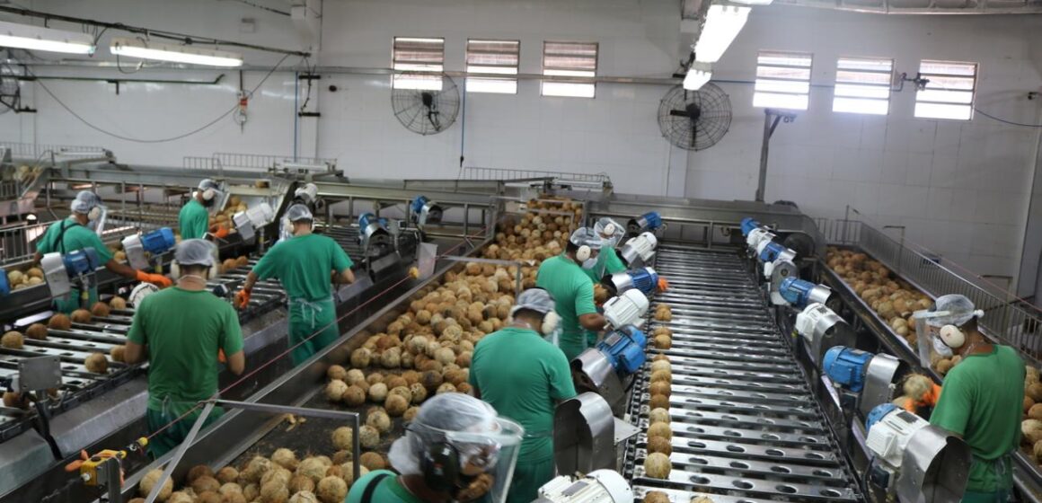 ‘Na Fábrica’: Projeto do Governo do Pará contribui para fortalecer o setor produtivo
