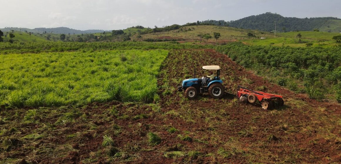 Prefeitura de Curionópolis apoia a produção rural