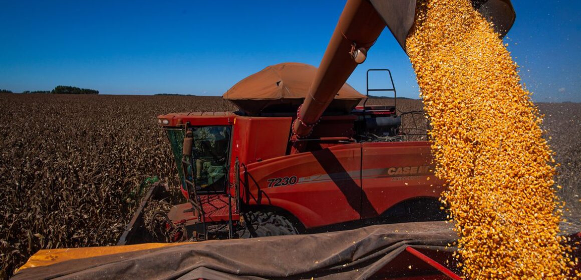 Balança comercial tem superávit de US$ 1,102 bi no início de outubro