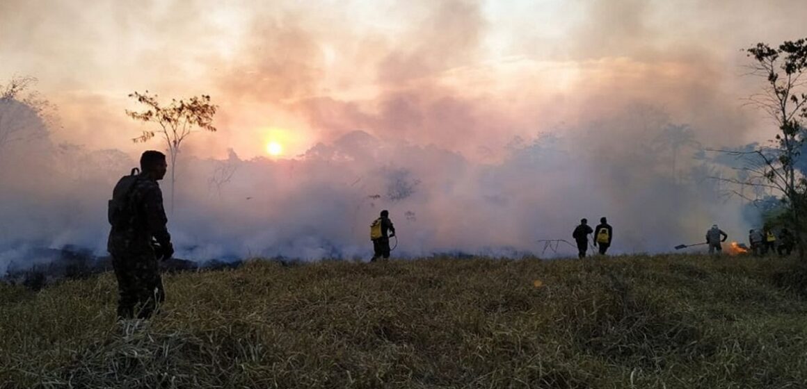 Pará reduz em 65% os focos de calor em setembro