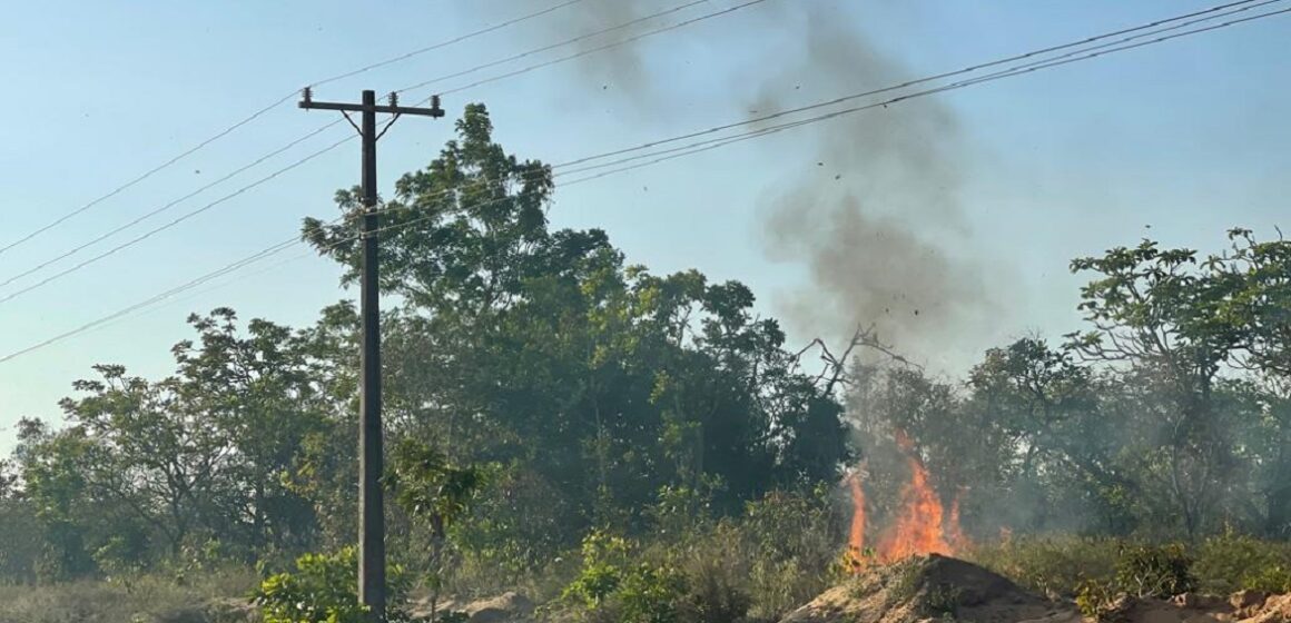 Equatorial Pará alerta para queimada próximo à fiação elétrica no Oeste do Pará