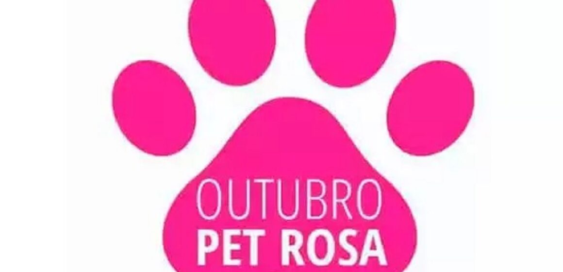 Outubro Rosa Pet: mês de conscientização sobre o câncer de mama também atinge cães e gatos