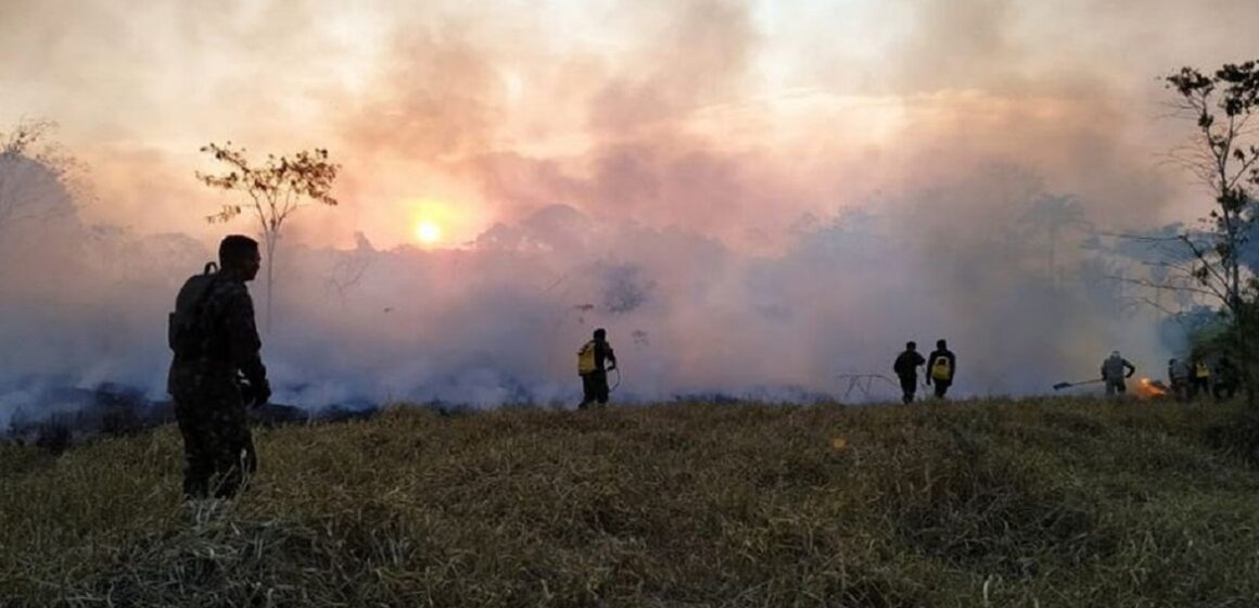 Pará reduz em 65% os focos de calor em setembro