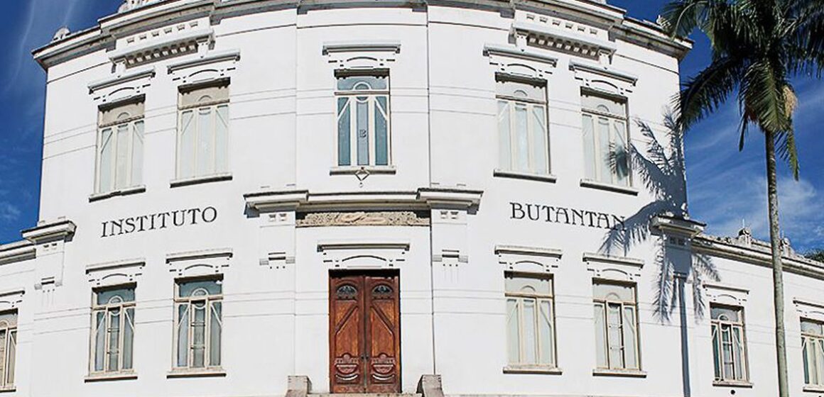 CoronaVac: Butantan vai enviar amostras de testes para a Sinovac
