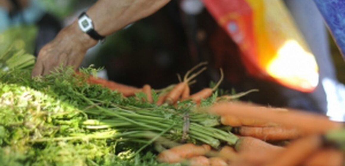 População que se considera vegetariana no Brasil é de 14%