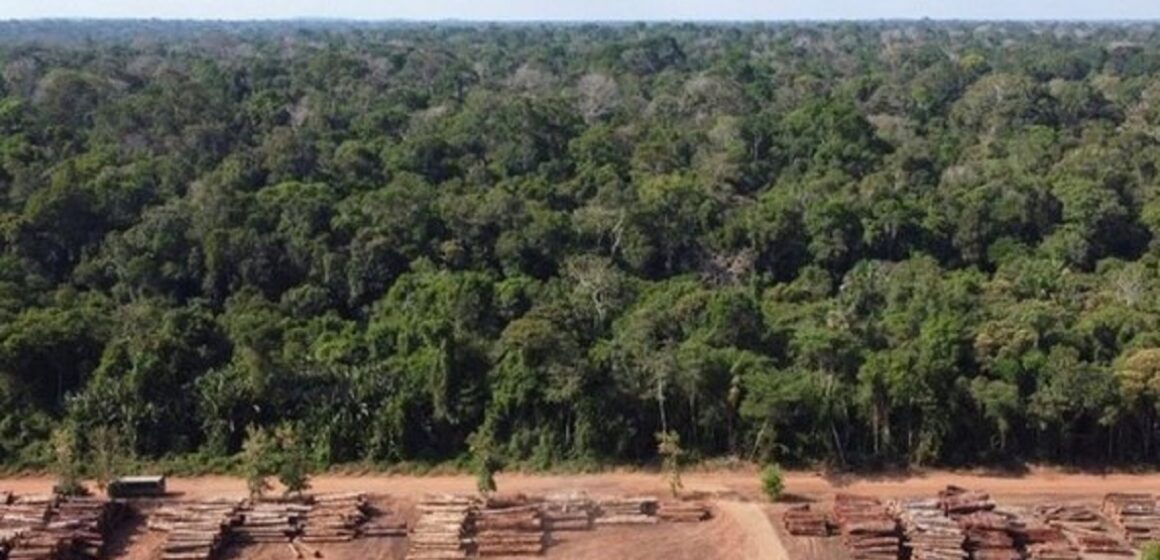 COP26: O que Brasil vai prometer e exigir na conferência sobre mudança climática